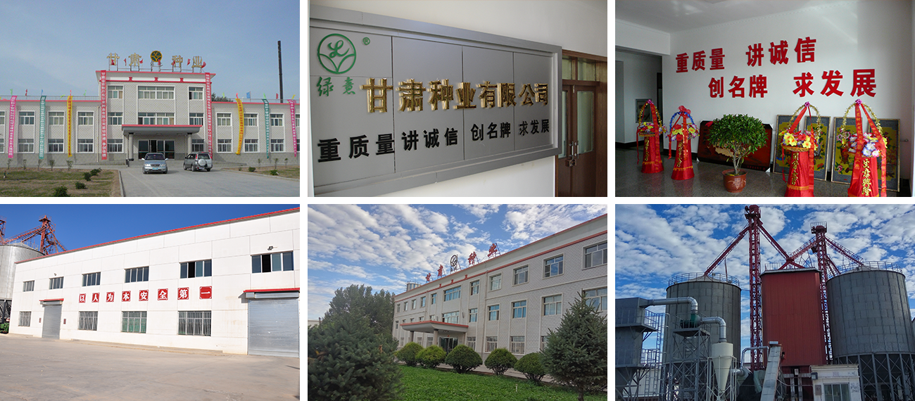 1623319219859472.png 組486.png